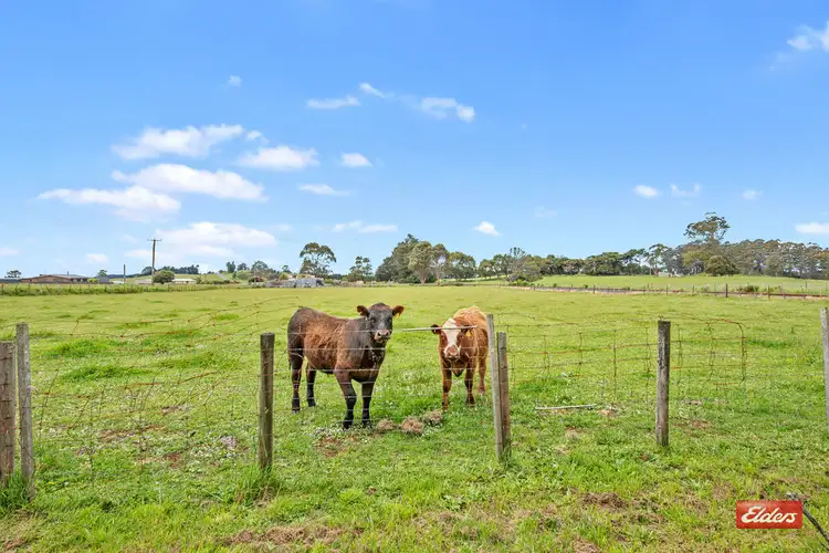 Third view of Homely house listing, 1377 Ridgley Highway, Highclere TAS 7321