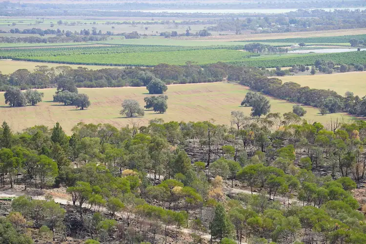 Third view of Homely rural property listing, Farm 2567 McPhersons Road, Beelbangera NSW 2680
