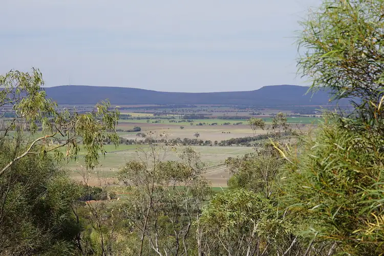 Fifth view of Homely rural property listing, Farm 2567 McPhersons Road, Beelbangera NSW 2680