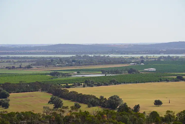 Sixth view of Homely rural property listing, Farm 2567 McPhersons Road, Beelbangera NSW 2680