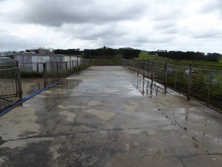 Sixth view of Homely rural property listing, 509 Roycrofts Road, Boorcan VIC 3265