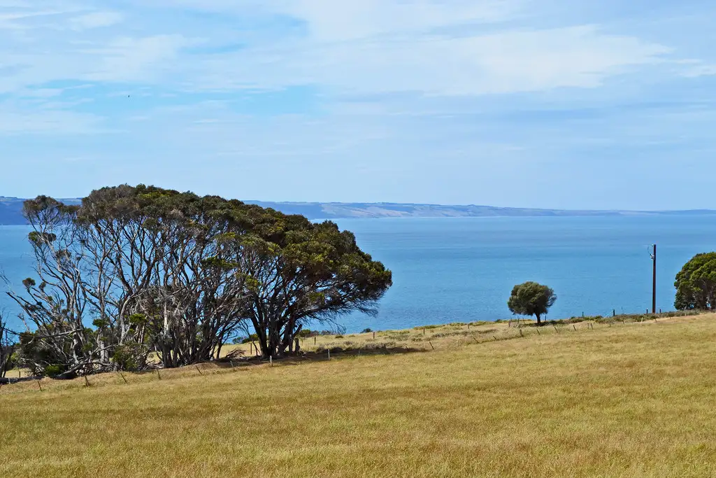 Main view of Homely rural property listing, Lot 1 CAPE WILLOUGHBY ROAD, Antechamber Bay SA 5222