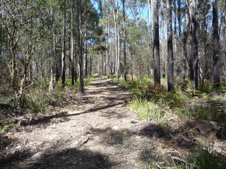 Second view of Homely land listing, 111 - 141 Prossers Rd, Nunamara TAS 7259