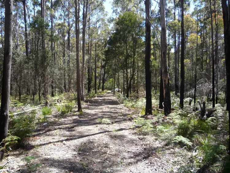 Third view of Homely land listing, 111 - 141 Prossers Rd, Nunamara TAS 7259