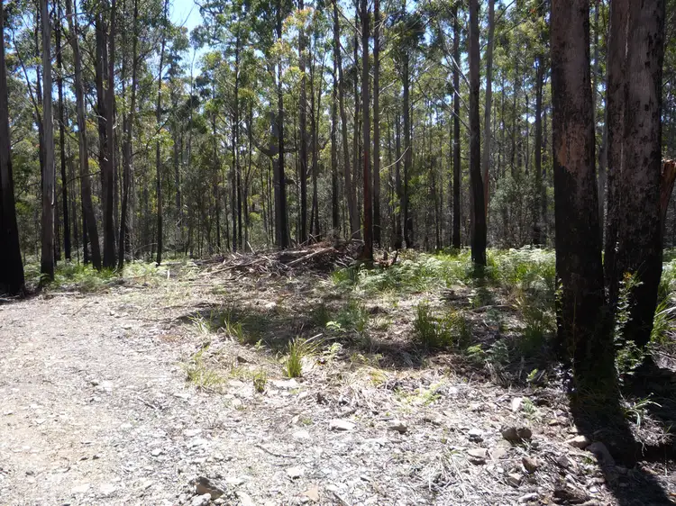 Fourth view of Homely land listing, 111 - 141 Prossers Rd, Nunamara TAS 7259