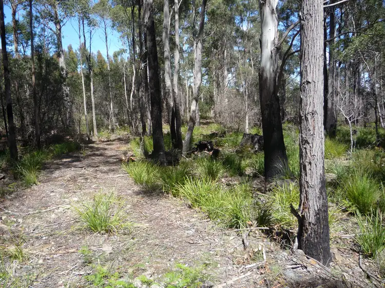 Fifth view of Homely land listing, 111 - 141 Prossers Rd, Nunamara TAS 7259