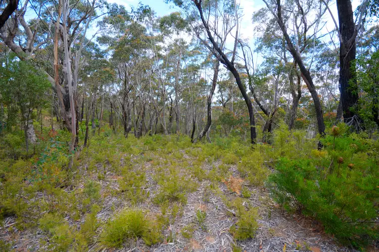Second view of Homely land listing, 159-165 Grand Canyon Road, Medlow Bath NSW 2780