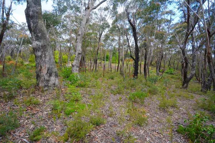 Third view of Homely land listing, 159-165 Grand Canyon Road, Medlow Bath NSW 2780