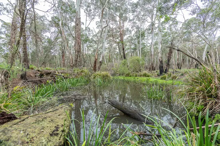 Second view of Homely house listing, 7019 Nerriga Road, Nerriga NSW 2622