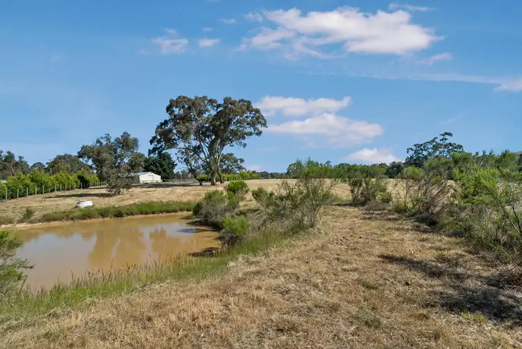 Fifth view of Homely rural property listing, 200 Wallis Road, Sunday Creek VIC 3658