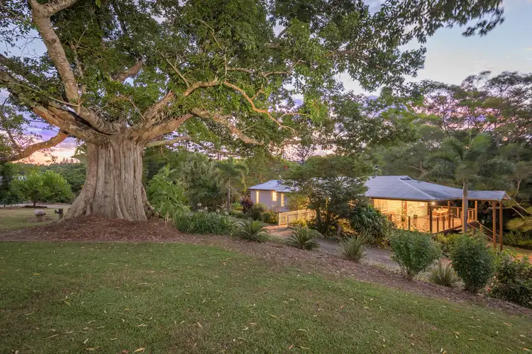 Main view of Homely house listing, 455 Wahpunga Lane, Kin Kin QLD 4571