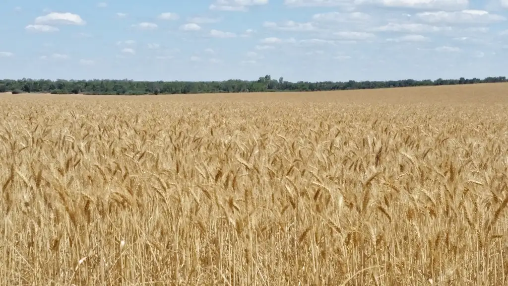 Main view of Homely rural property listing, Lot 1 Carnamah Eneabba Rd, Carnamah WA 6517