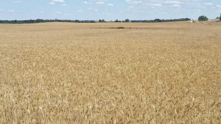 Second view of Homely rural property listing, Lot 1 Carnamah Eneabba Rd, Carnamah WA 6517