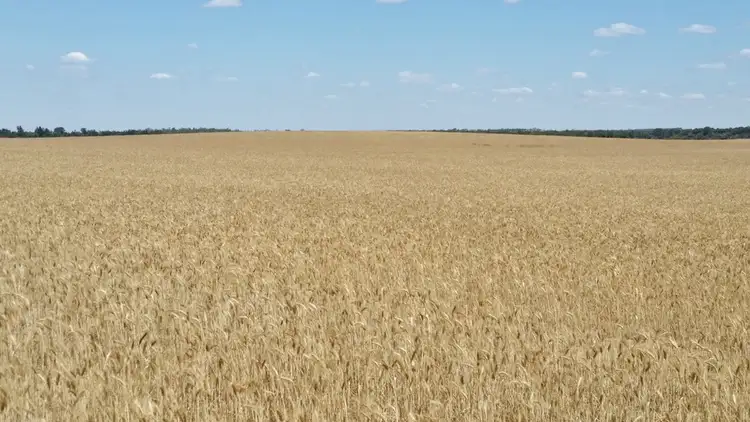 Sixth view of Homely rural property listing, Lot 1 Carnamah Eneabba Rd, Carnamah WA 6517