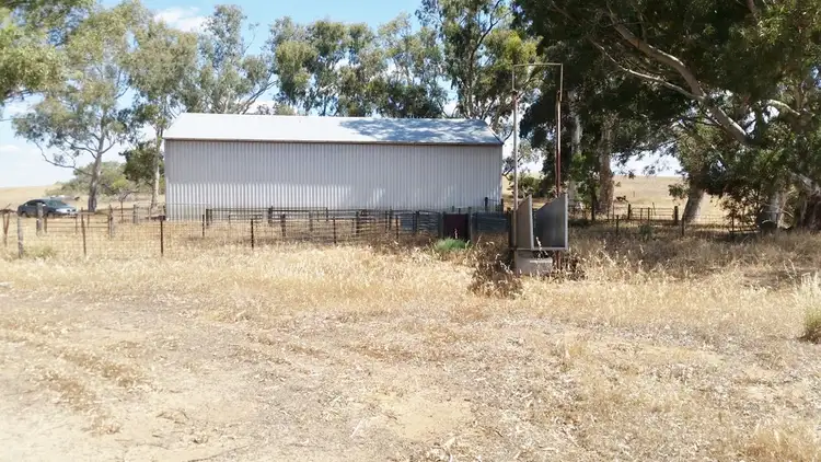 Seventh view of Homely rural property listing, Lot 1 Carnamah Eneabba Rd, Carnamah WA 6517