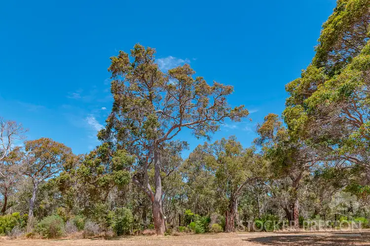 Seventh view of Homely land listing, Lot 14 Cornerstone Way, Quedjinup WA 6281