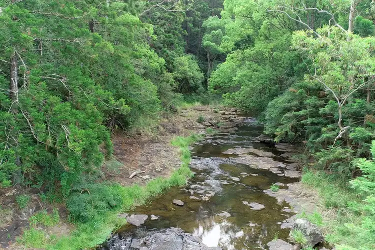 Sixth view of Homely rural property listing, 309 Henson Road, Lismore NSW 2480