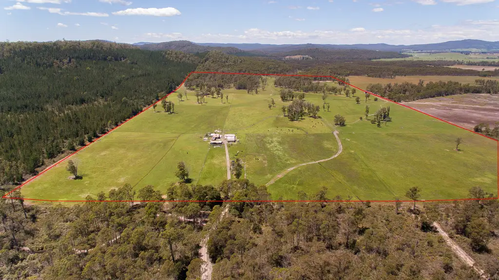 Main view of Homely rural property listing, 315 Felminghams Rd, Parkham TAS 7304