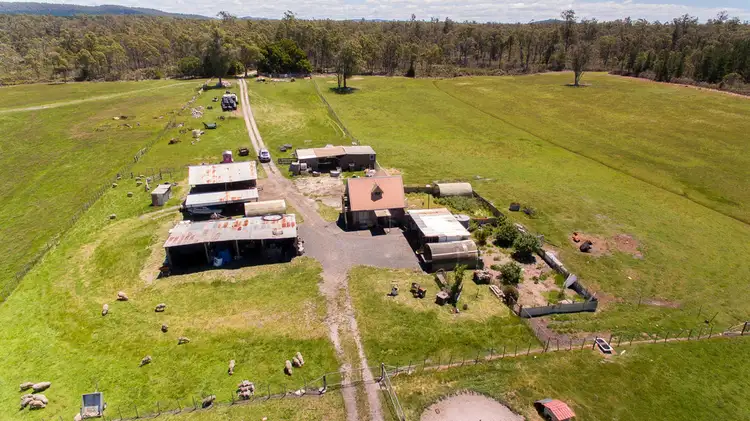 Fourth view of Homely rural property listing, 315 Felminghams Rd, Parkham TAS 7304