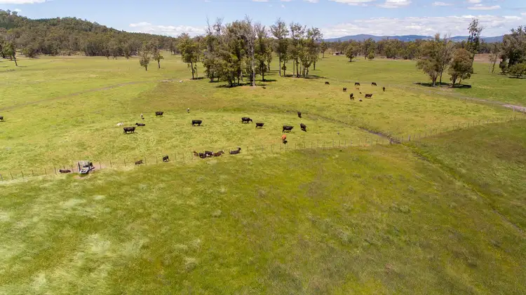 Fifth view of Homely rural property listing, 315 Felminghams Rd, Parkham TAS 7304