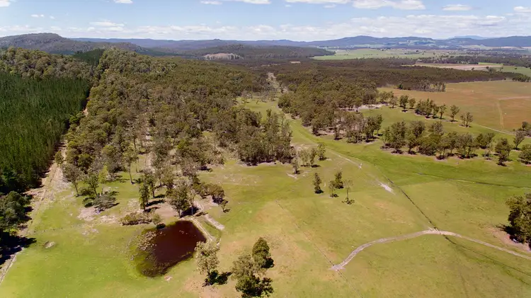 Sixth view of Homely rural property listing, 315 Felminghams Rd, Parkham TAS 7304