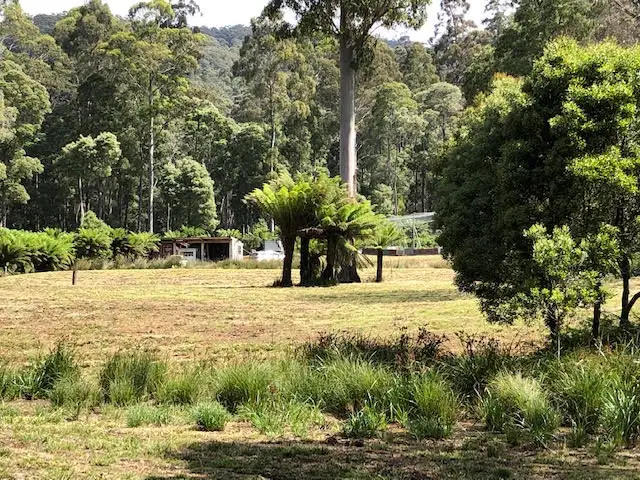 - Bannons Bridge Road, Gunns Plains TAS 7315