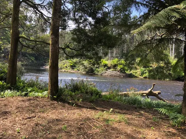 Second view of Homely rural property listing, - Bannons Bridge Road, Gunns Plains TAS 7315
