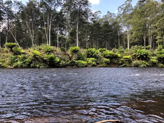 Fifth view of Homely rural property listing, - Bannons Bridge Road, Gunns Plains TAS 7315