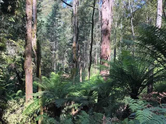Sixth view of Homely rural property listing, - Bannons Bridge Road, Gunns Plains TAS 7315