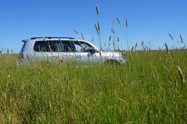 Main view of Homely rural property listing, 240 Old Avenue Road, Lucindale SA 5272