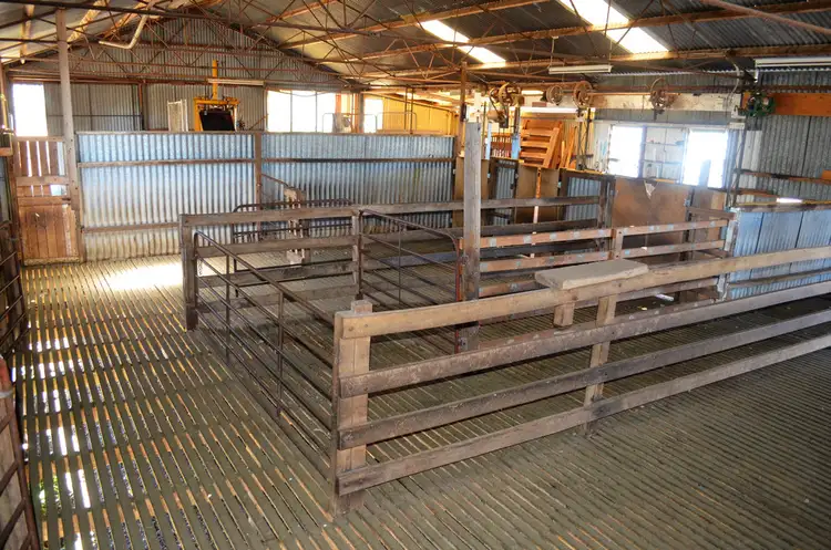Third view of Homely rural property listing, 240 Old Avenue Road, Lucindale SA 5272
