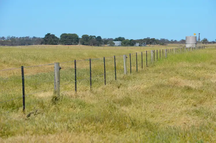 Fifth view of Homely rural property listing, 240 Old Avenue Road, Lucindale SA 5272