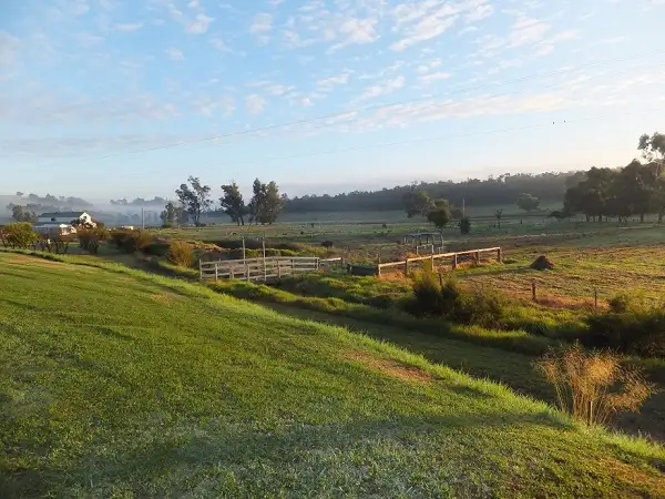 Main view of Homely rural property listing, 5 Hackett Road, Brookhampton WA 6239