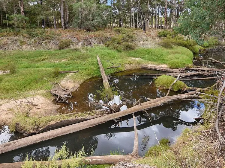 Fifth view of Homely rural property listing, 60 Beelerup Road, Beelerup WA 6239
