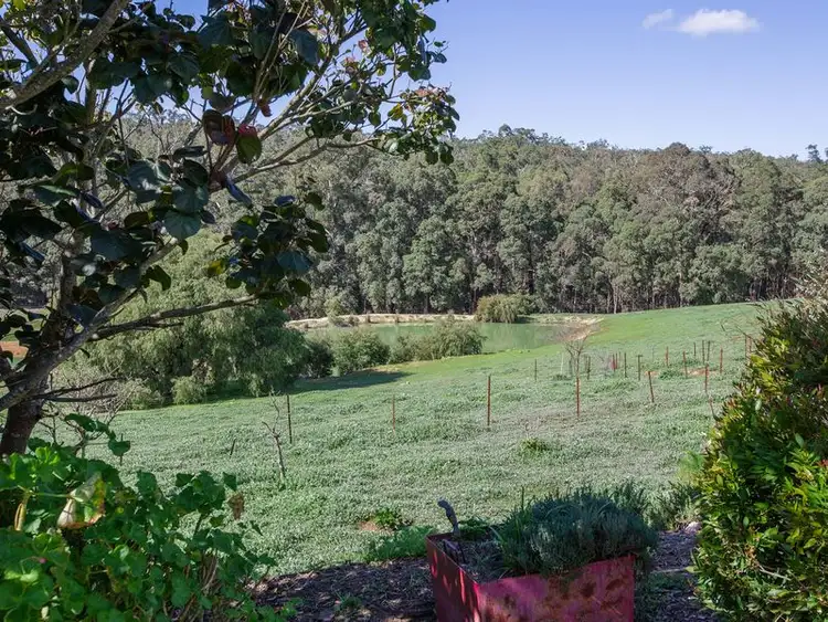 Seventh view of Homely rural property listing, 41 Japonica View, Wellington Mill WA 6236