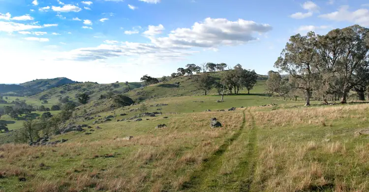 Seventh view of Homely rural property listing, Lots 14 & 15 Sugarloaf Road, Euroa VIC 3666