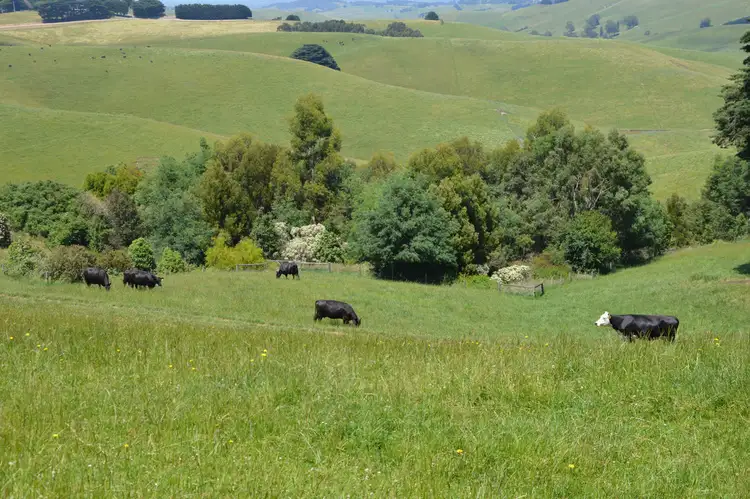 Third view of Homely rural property listing, 76 BUCHANANS ROAD, Bena VIC 3946