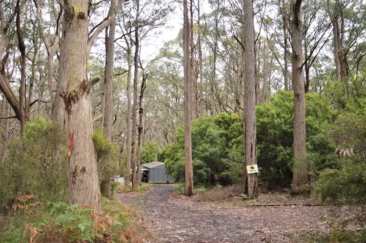 Main view of Homely rural property listing, 00 Toora-Wonyip Road, Hazel Park VIC 3966