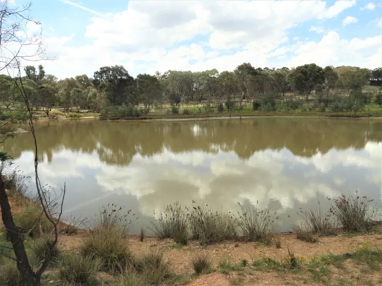 Second view of Homely rural property listing, 878 Stonehaven Road, Holbrook NSW 2644