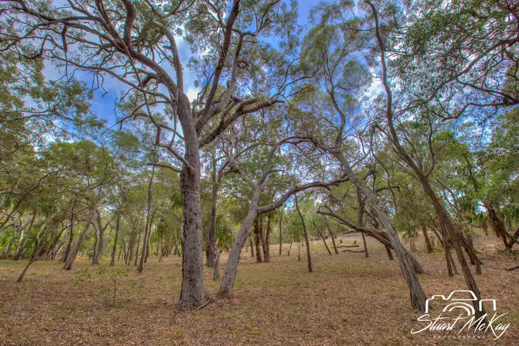 Seventh view of Homely land listing, Lot 80 Bloodwood Ave, Agnes Water QLD 4677