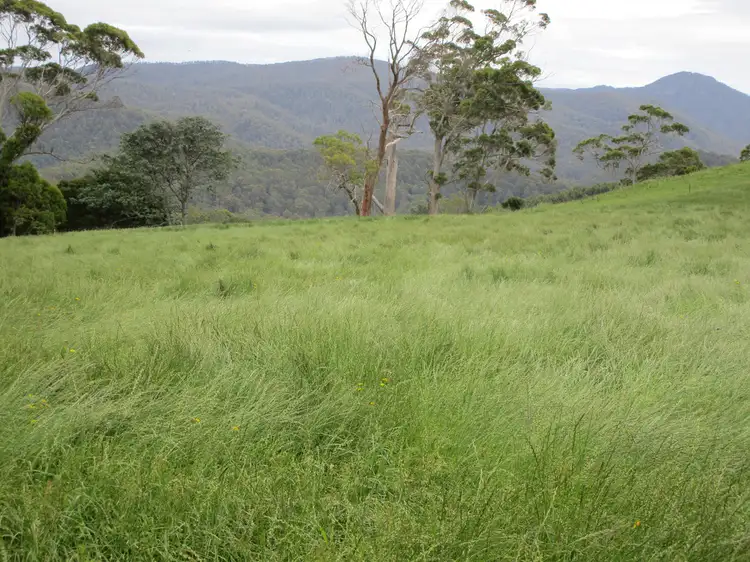 Main view of Homely rural property listing, - Preston Road, North Motton TAS 7315