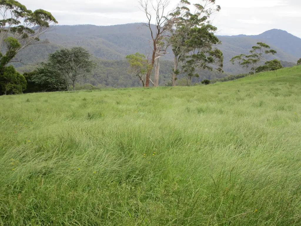 Main view of Homely rural property listing, - Preston Road, North Motton TAS 7315