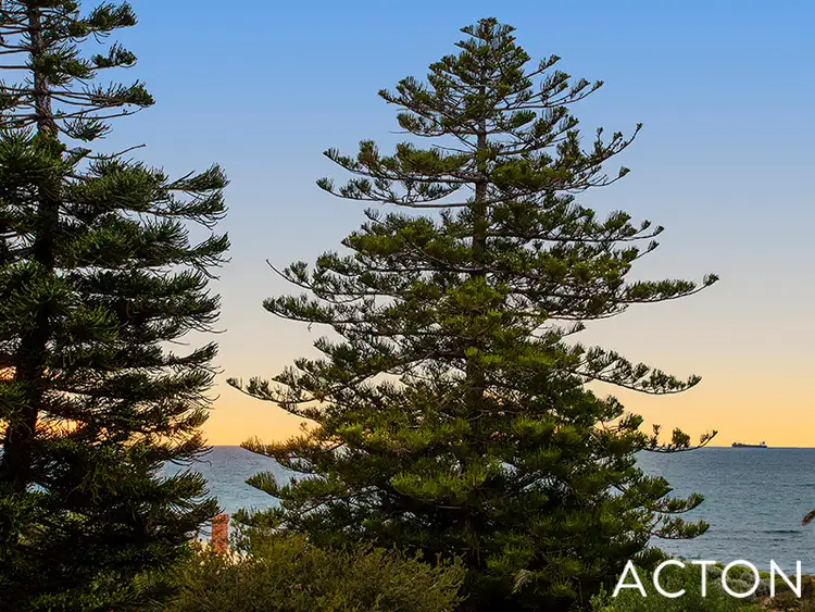 4 Beach Street, Cottesloe WA 6011