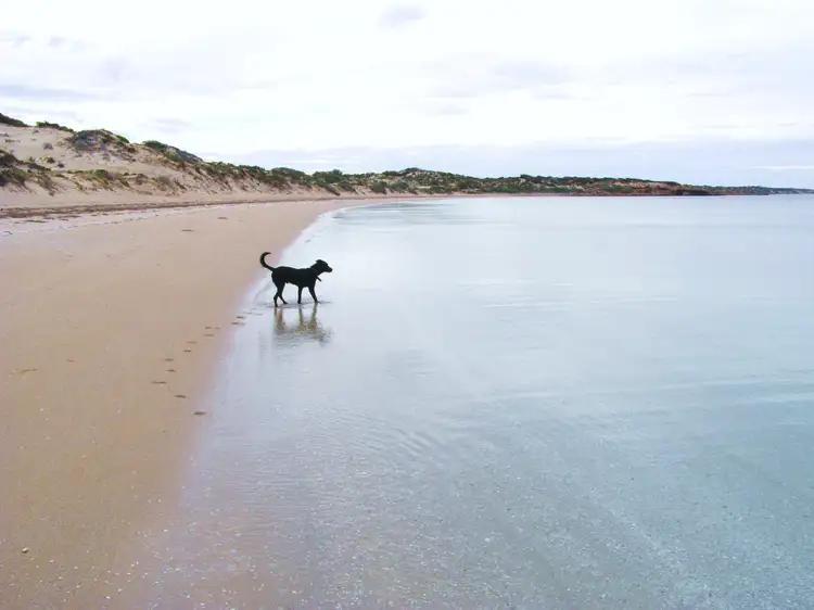 Fifth view of Homely land listing, 38031B Flinders Highway, Ceduna SA 5690
