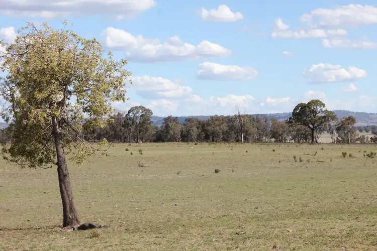 Sixth view of Homely rural property listing, 188 Bullarook Rd, Coolah NSW 2843
