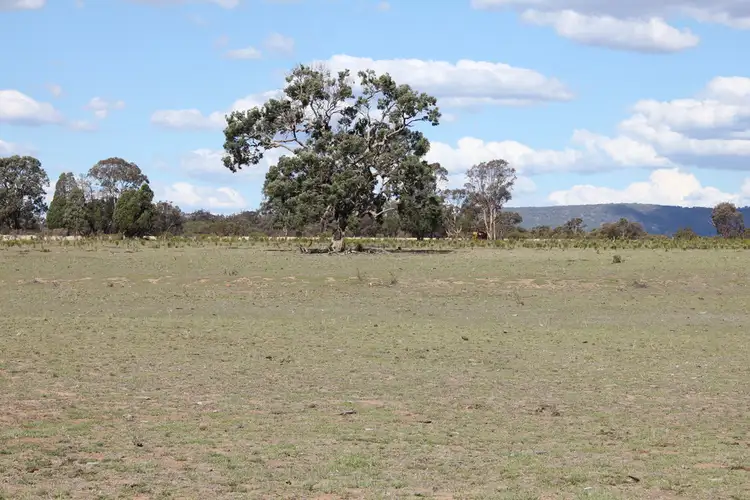 Seventh view of Homely rural property listing, 188 Bullarook Rd, Coolah NSW 2843