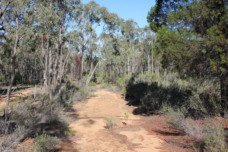 Main view of Homely rural property listing, 353 ALBERT WRIGHT ROAD, Rocky Glen NSW 2357