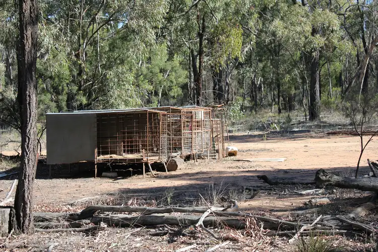 Fourth view of Homely rural property listing, 353 ALBERT WRIGHT ROAD, Rocky Glen NSW 2357