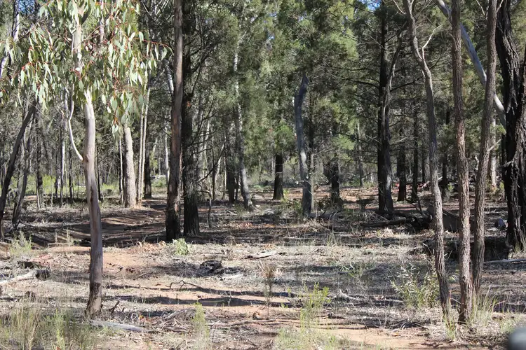 Fifth view of Homely rural property listing, 353 ALBERT WRIGHT ROAD, Rocky Glen NSW 2357