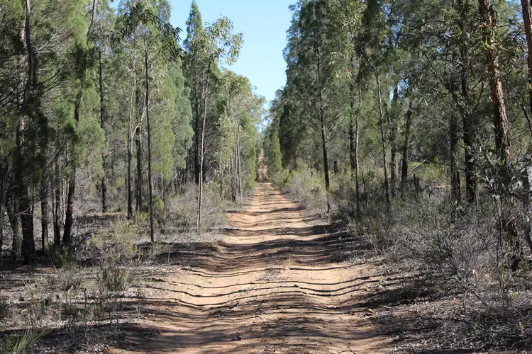 Sixth view of Homely rural property listing, 353 ALBERT WRIGHT ROAD, Rocky Glen NSW 2357